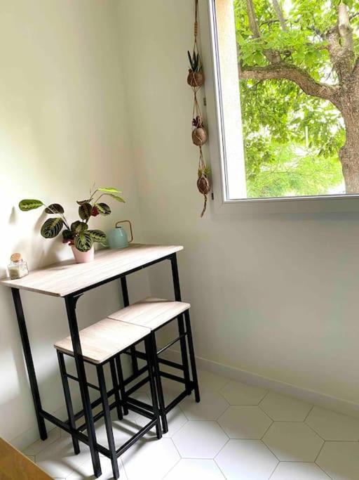 Mon Cocoon Toulousain Cosy Appartement Idealement Situe Toulouse Ngoại thất bức ảnh